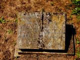 image of grave number 335615